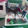 Schleich Horse Club Mobile Vet Van 42370 Image 3