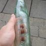Vintage Downs Ennis codd neck bottle Image 2