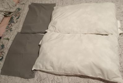 Two individual pillows with covers