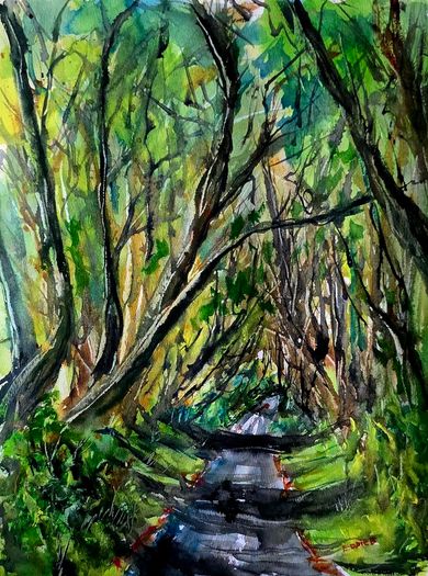 dark hedges watercolour