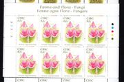 2008 Ireland Fauna &amp; Flora: Fungi Commemorative Stamp Sheetlet Plate 1A1A1A1A Mint Never Hinged (MNH)