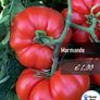 Tomato seeds Over 20 varieties Professionally packed Image 5