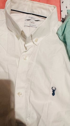 shirts next.