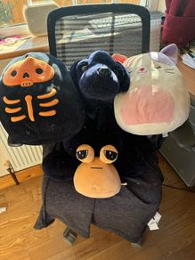 Teddies