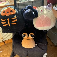Teddies