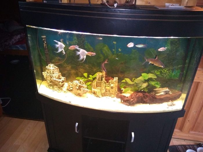 Juwel Vision Tank + Stand 260 Litres
