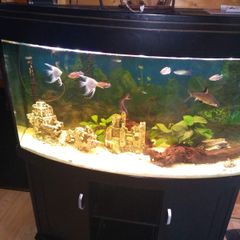 Juwel Vision Tank + Stand 260 Litres