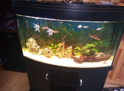 Juwel Vision Tank + Stand 260 Litres
