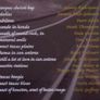 Texas Boogie - A Collection of Texas Songs CD Image 2