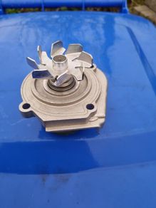 Fiat water pump