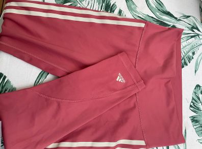 leggins