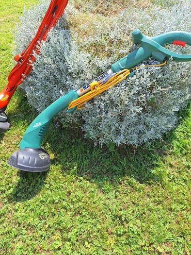 Two strimmers