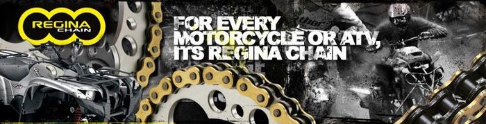 Motorcycle And Quad/at Chains And Sporkets From 10euros