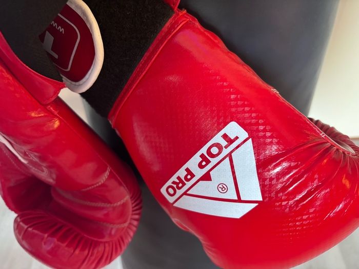 Punching bag and boxing gloves