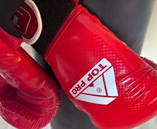 Punching bag and boxing gloves
