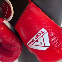 Punching bag and boxing gloves