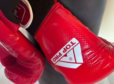Punching bag and boxing gloves
