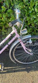 ladies bike