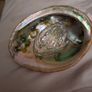 Beautiful Abalone shell Image 2
