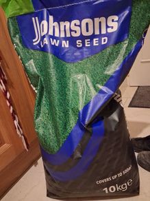 lawn seed