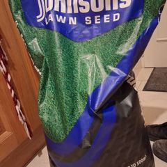 lawn seed