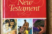 The Ladybird New Testament