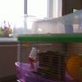 Hamster Cage Image 3