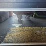 Vivarium Image 3