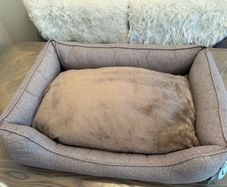 large dog bed