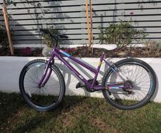 Ignite Crystal Girls Mountain Bike