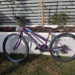 Ignite Crystal Girls Mountain Bike