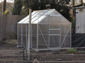 Greenhouse