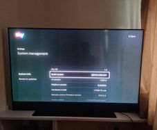 Tv Sky Smart 55