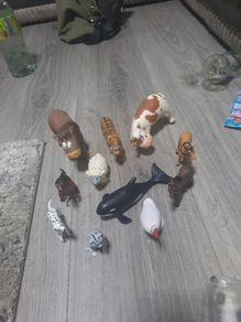animal bundle