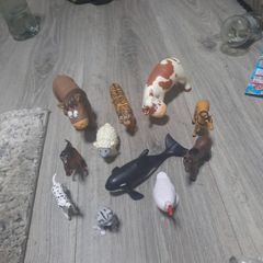 animal bundle