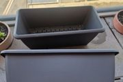 Plastic Planters