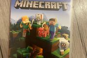 Nintendo Switch Minecraft