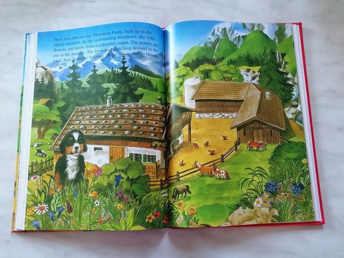 Children Book - Farmyard Stories
