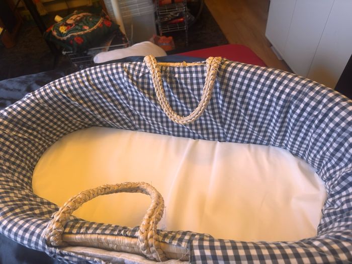 Moses Basket, free to go