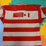NRL St George Illawarra Image 2