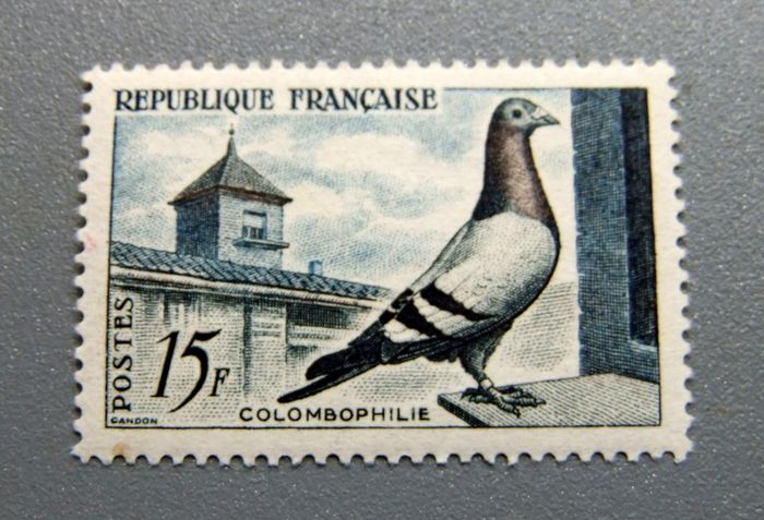 France 1957 Homing Pigeon