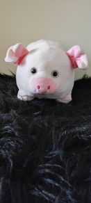 Soft toy Piggy bank