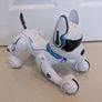Ziggy Robo Dog Image 7