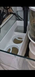 Filter Socks Box/Holder for Sump