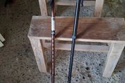 Walking sticks