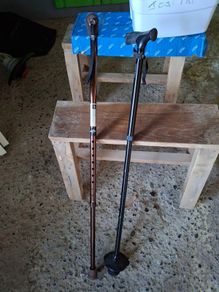 Walking sticks