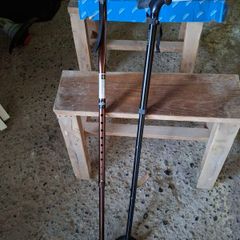 Walking sticks