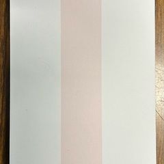 Apple Watch solo loop strap