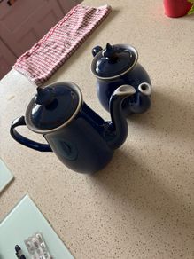 Denby Tea Pot and Coffee Pot