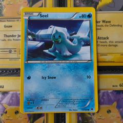 Seel ! Miscut Error ! Off Centre ! from Fates Collide Set ! 2016 ! Error Pokemon Card !
